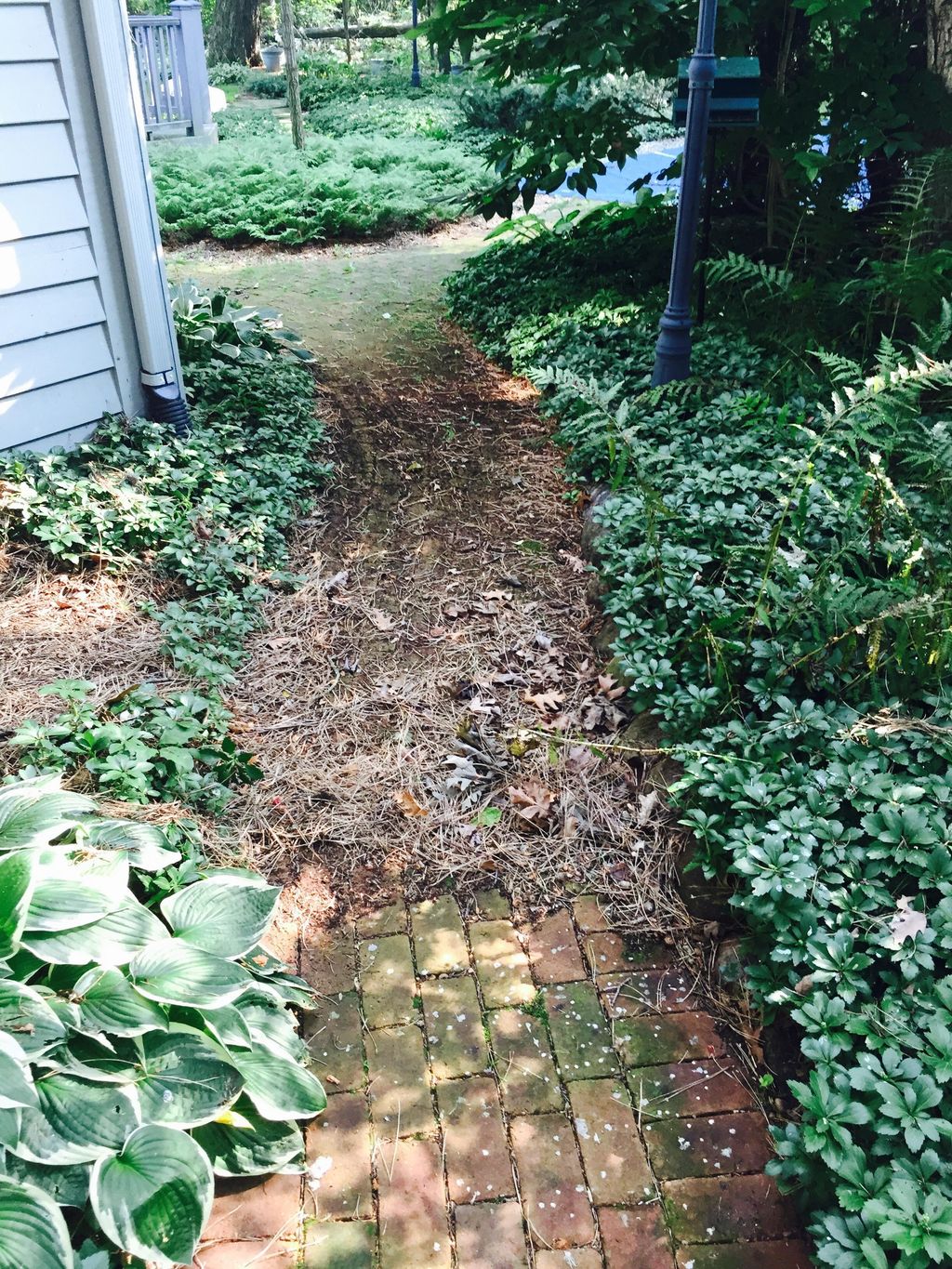 Walkways in need of cleaning before.