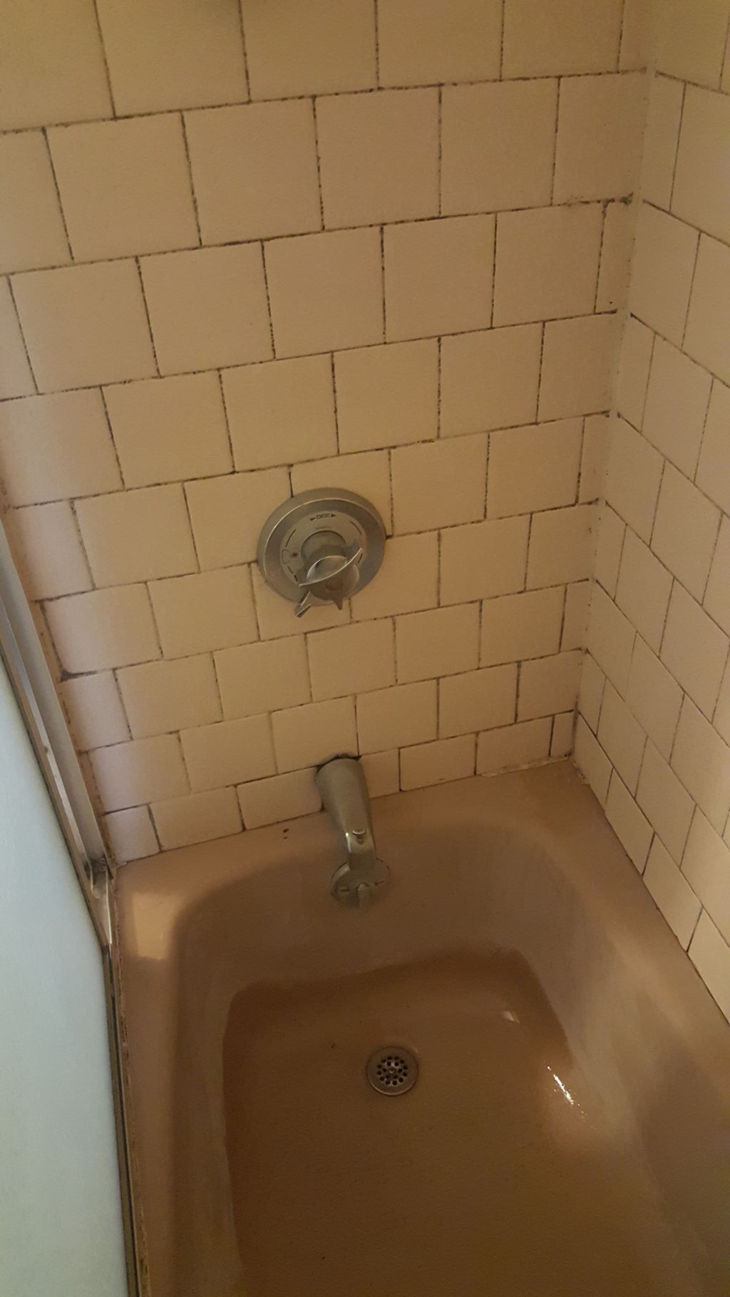 Tub shower before regrouting 