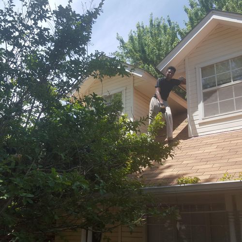 we also do tree trimming 