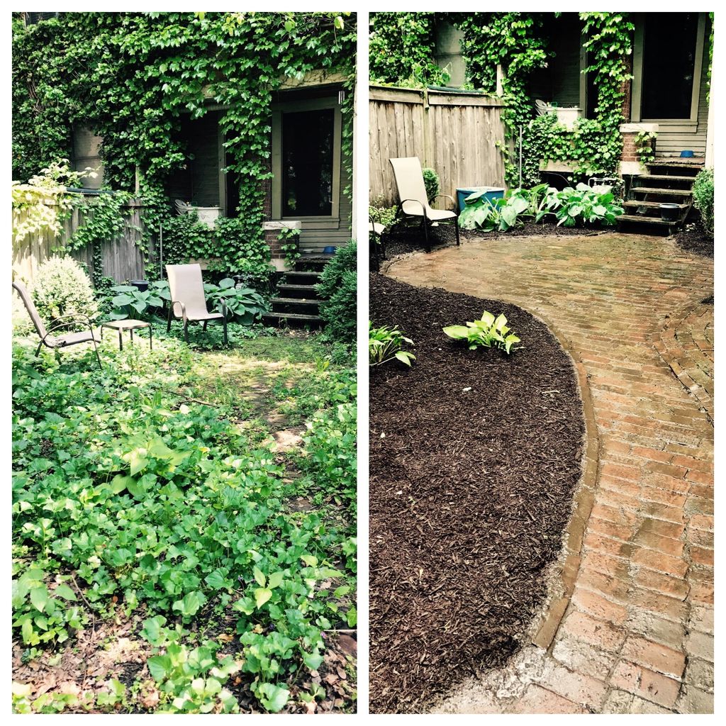 CLEAN UP & MULCHING JOB