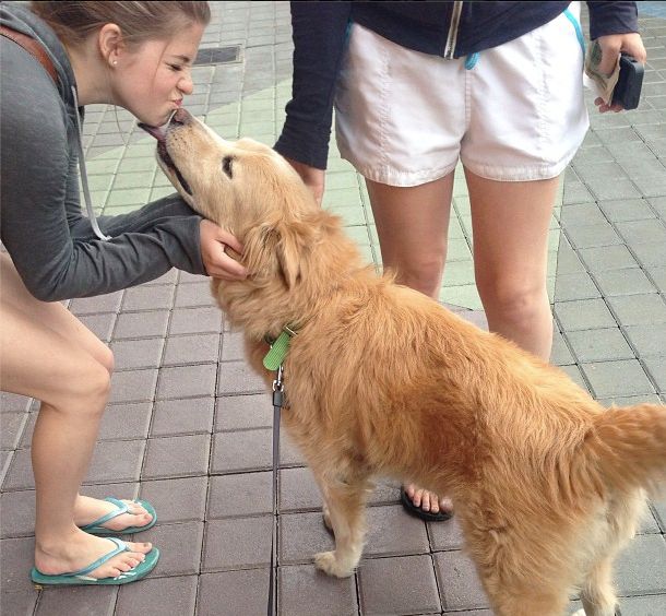 Lots of love for all sizes of dogs