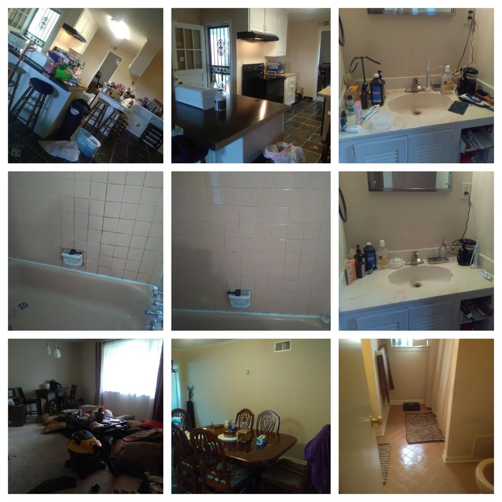 bathroom den kitchen & hallway