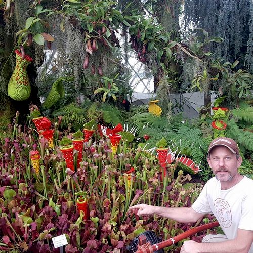Damon with carnivorous plants in Singapore
