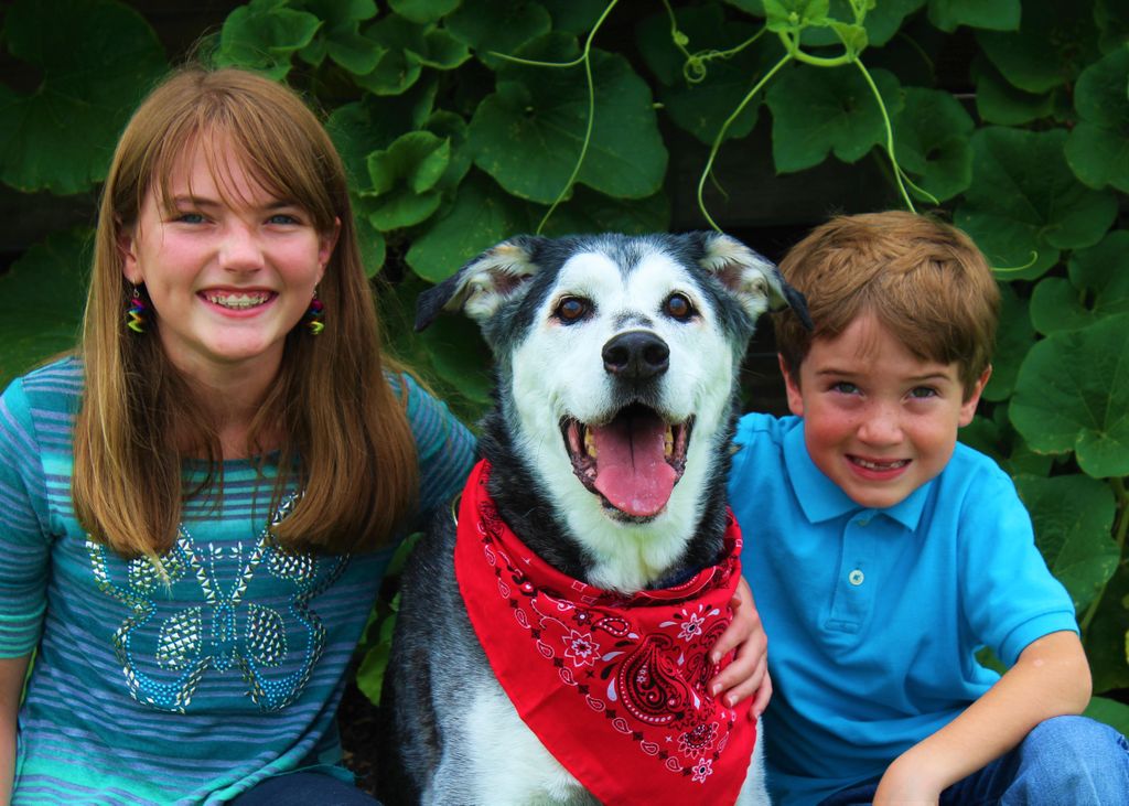 Pet photography with their families.