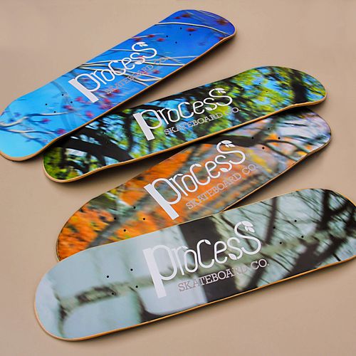 Process Skateboard Co. Season Series