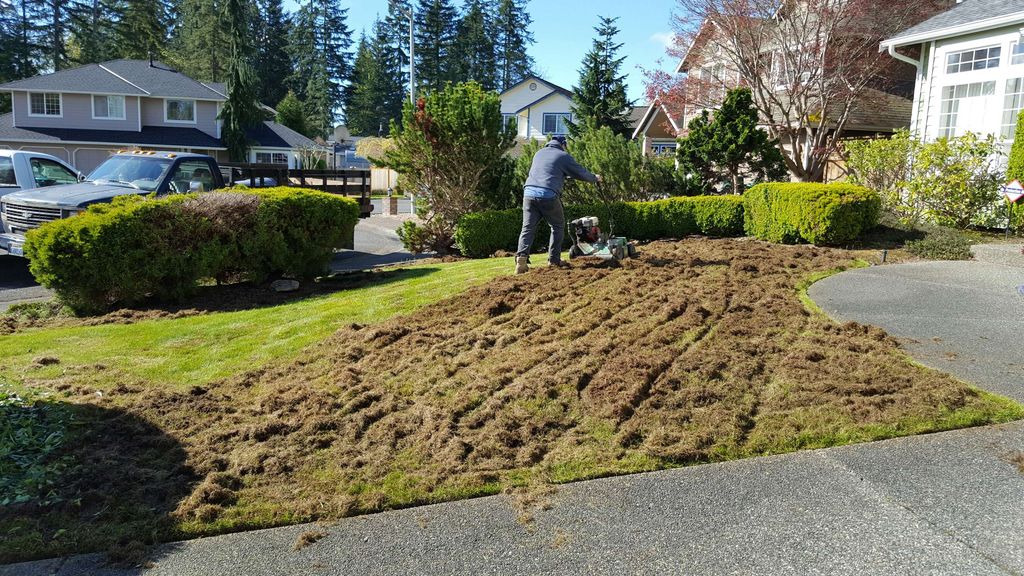 Thatching 