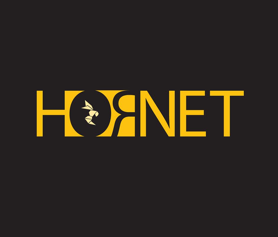 Hornet - Product Logo. 2013.