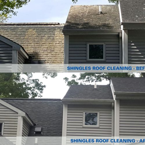 Shingles roof cleaning