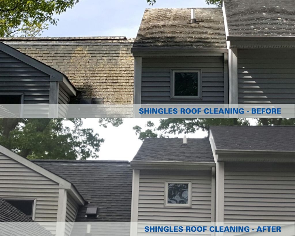 Shingles roof cleaning