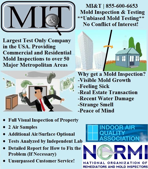 Mold Inspection & Testing **Unbiased Mold Testi...