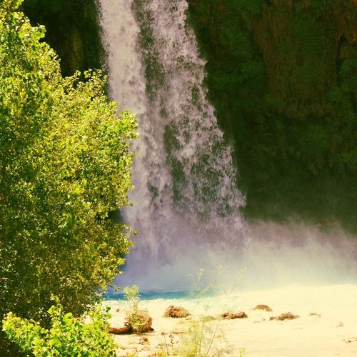Havasupi Falls