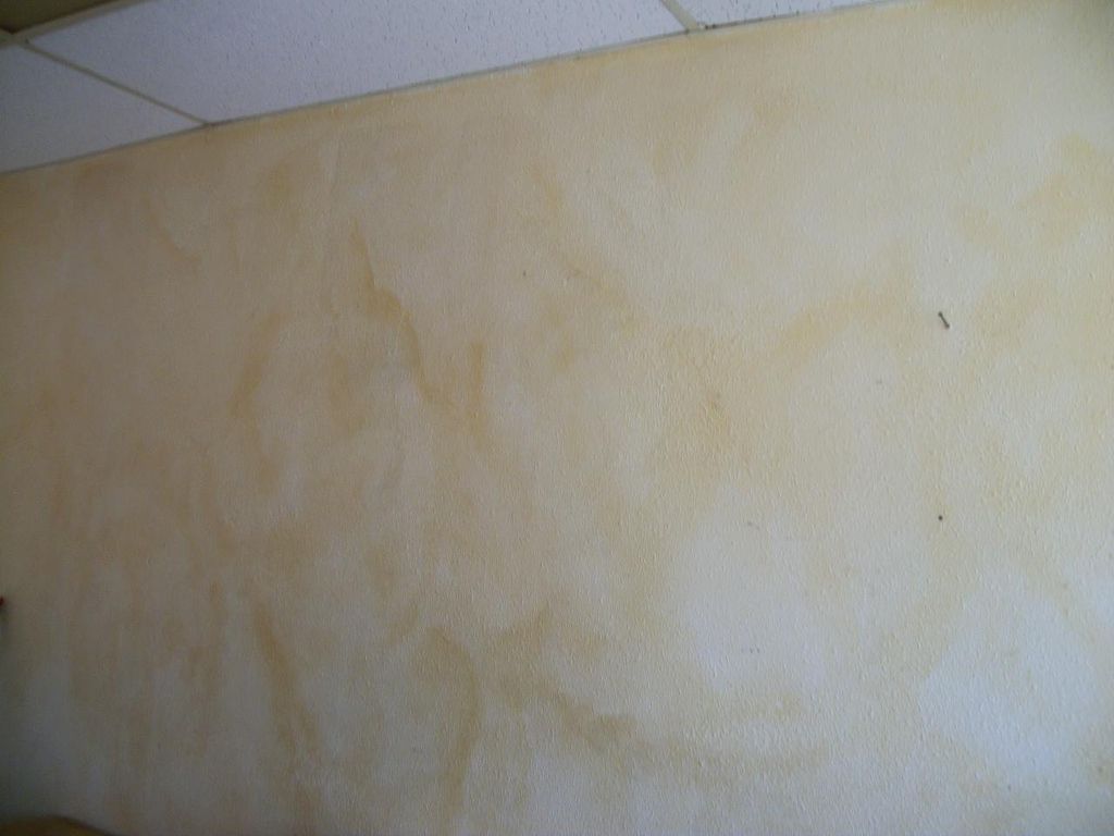 wall and ceiling 2