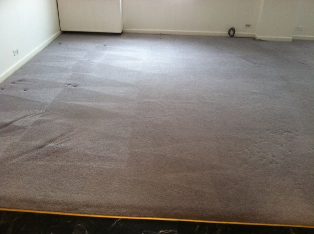 Rental unit was filthy, but no match for our carbo