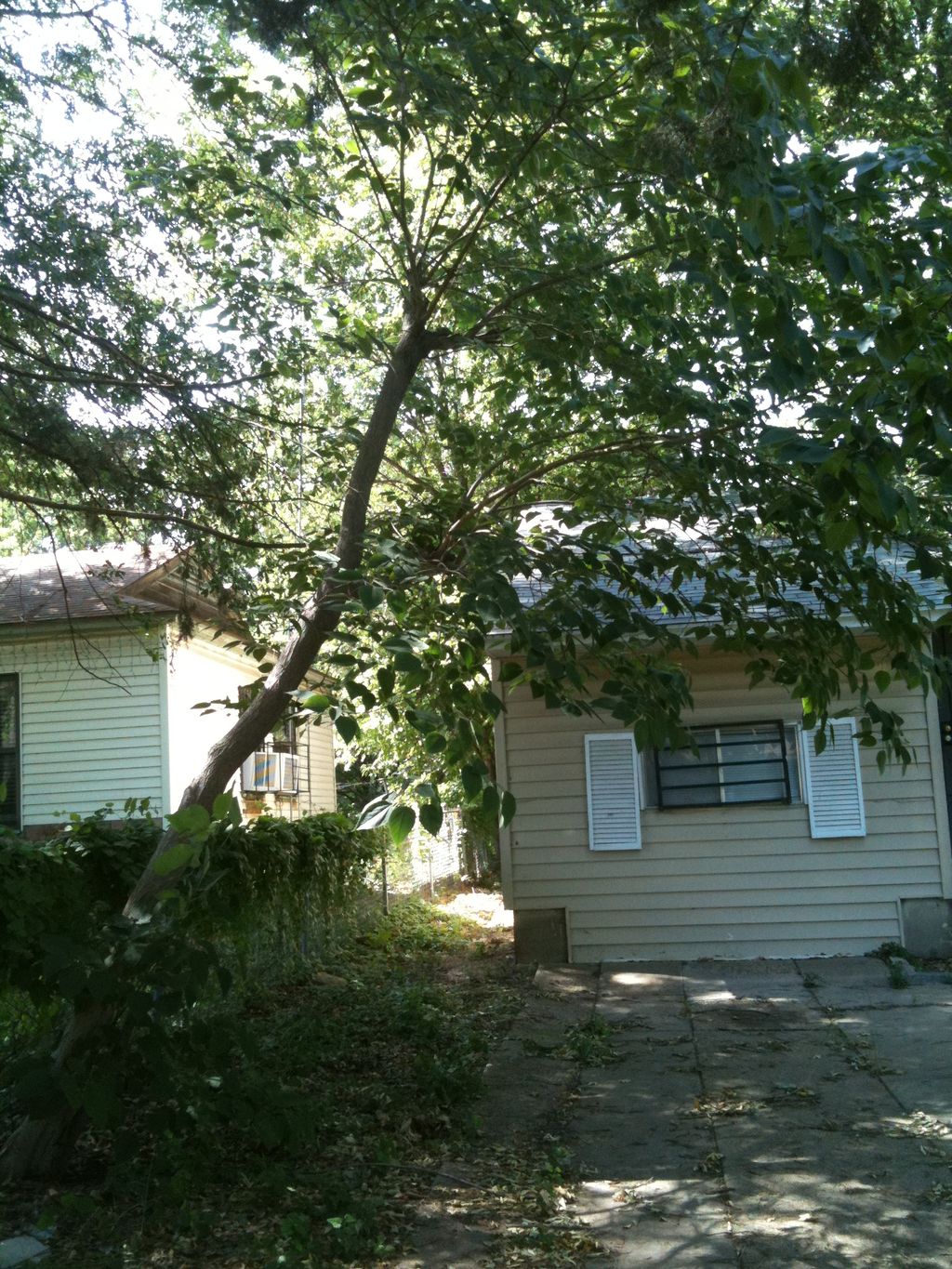 This property was severely neglected and was purch