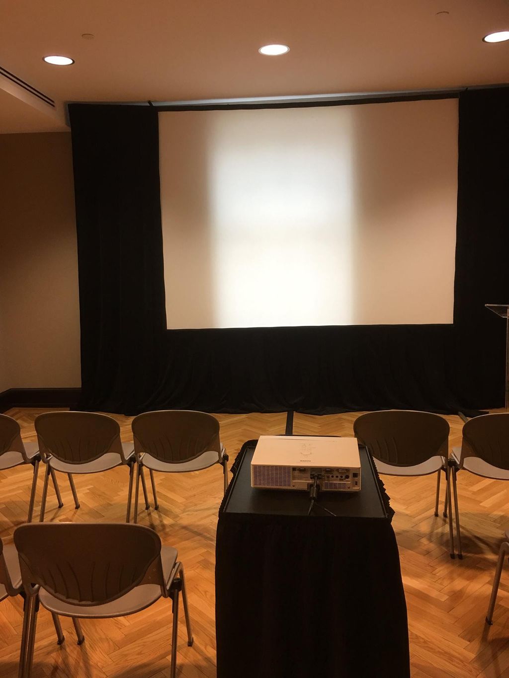 Screen with skirt and valance with skirts