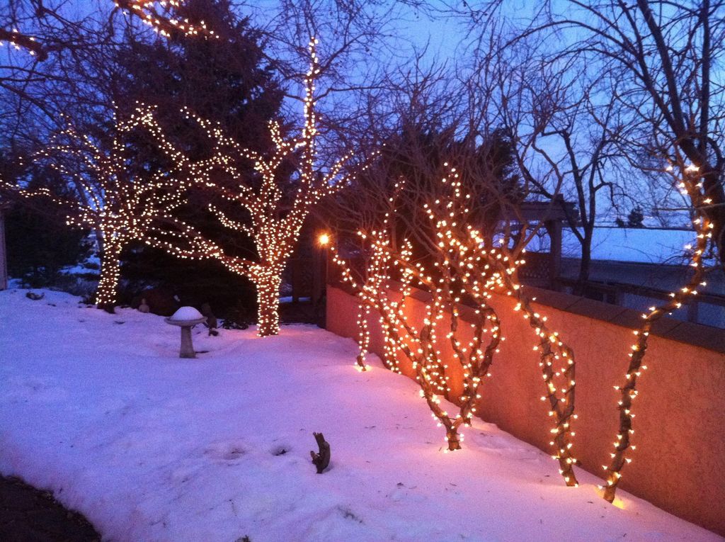 Add beauty to your yard. Ask us about year round l