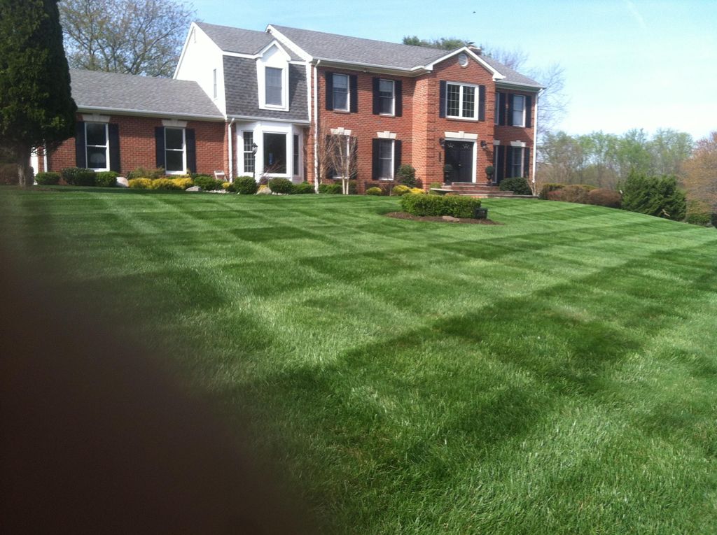 LAWN SERVICE