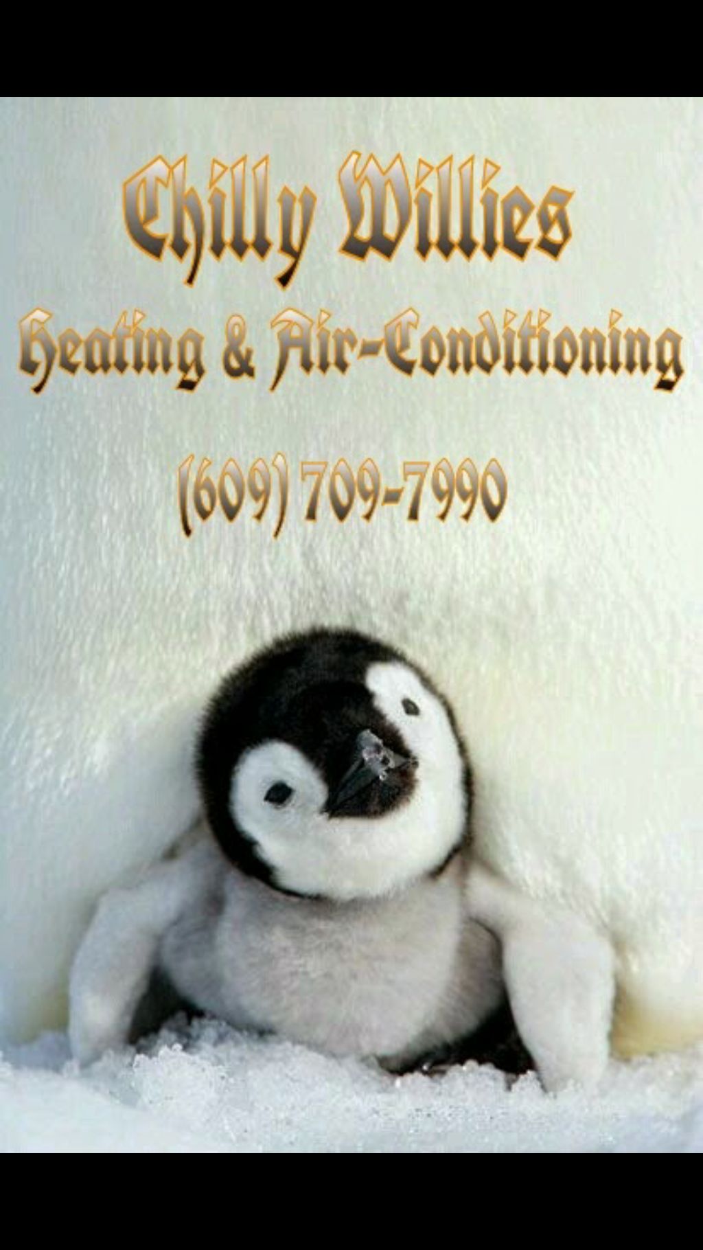 Chilly Willies Heating and Air Conditioning