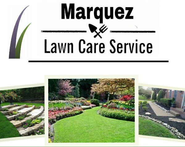 Marquez Lawn Care Service