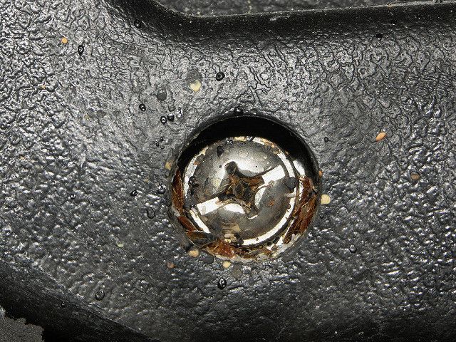 Bed bugs are small and can hide in screw holes.