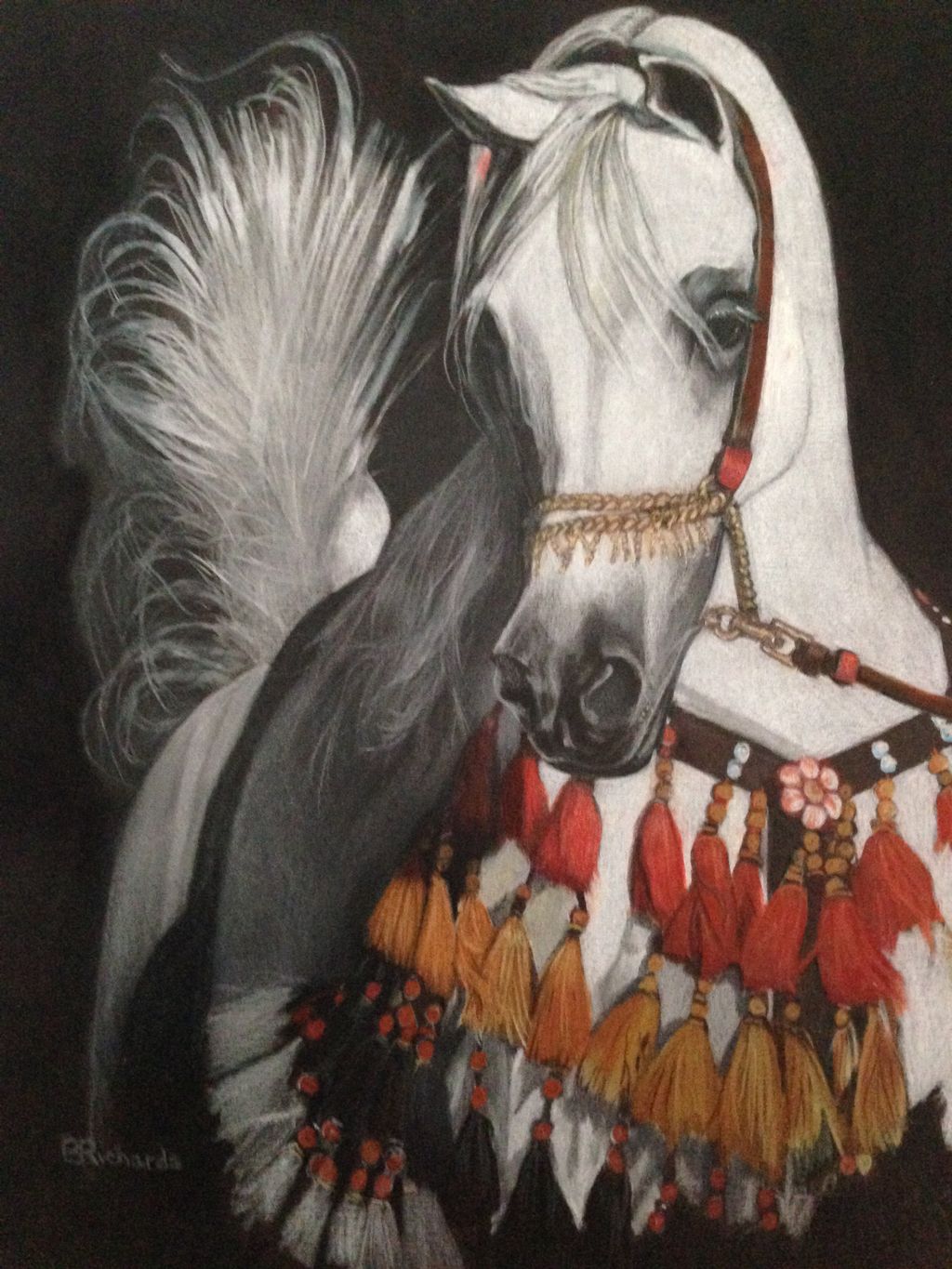 An Arabian horse for a client
