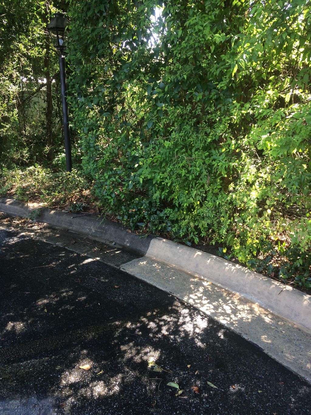 Dirty vs. clean curb in an apartment complex