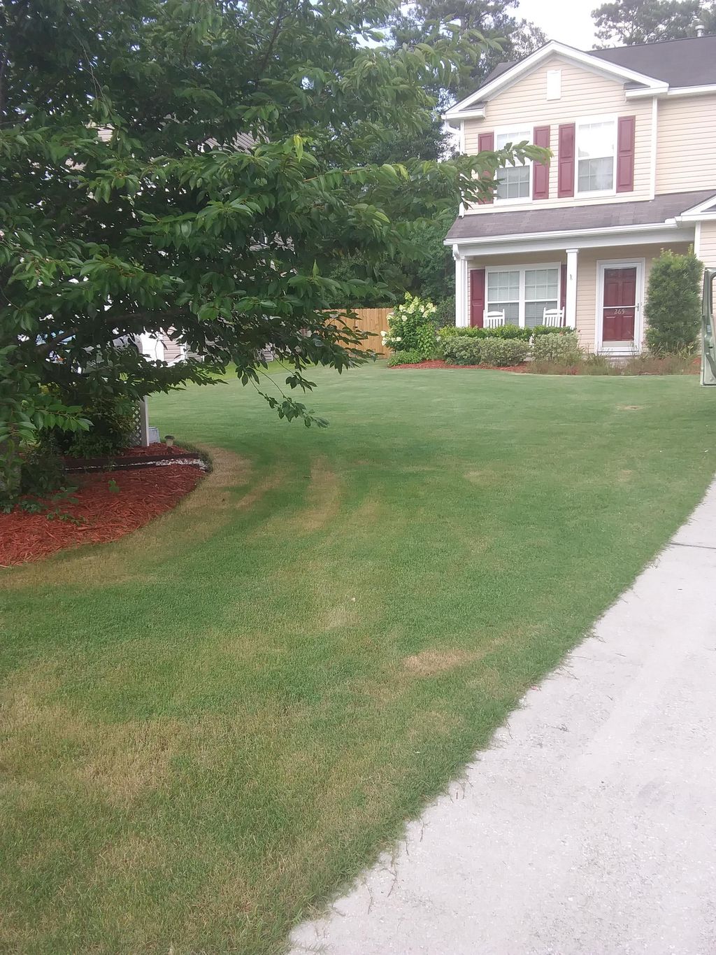 freshly mowed