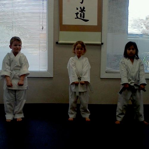 beginners traditional karate