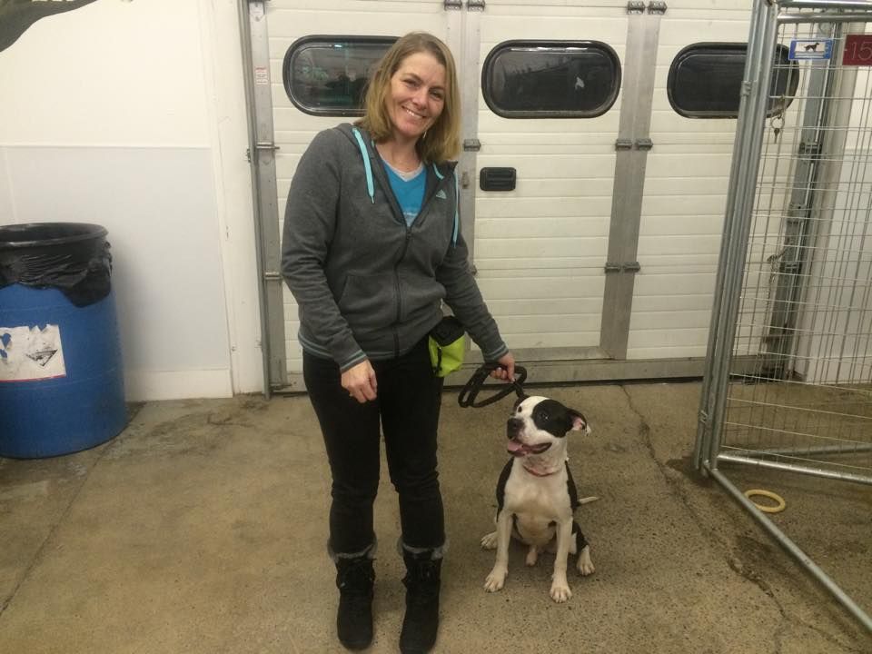 Me and Shamus, a shelter dog I did volunteer train