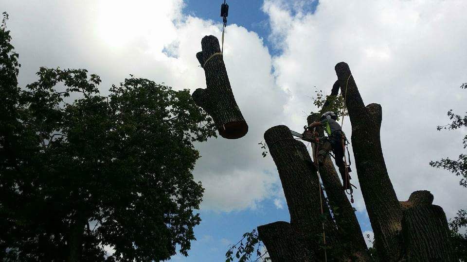 Large crane removal over various structures 