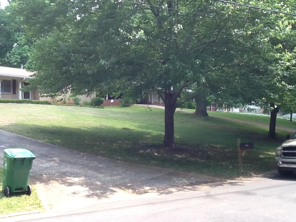 Cut & Edge done in Decatur