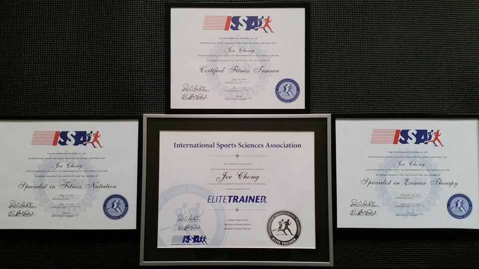 My ISSA certifications.