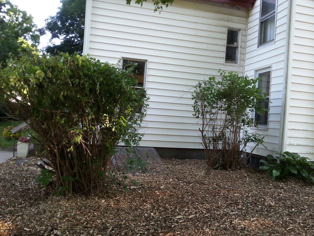 After. Doug property