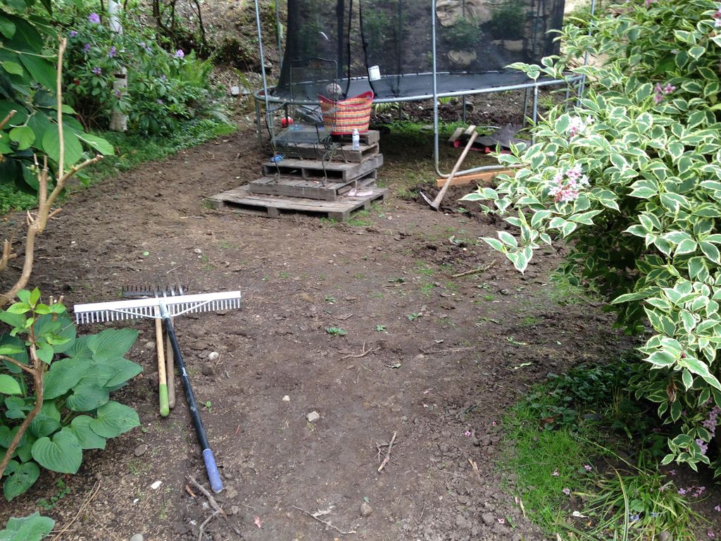 Project "South Seattle". Just starting to tilling 