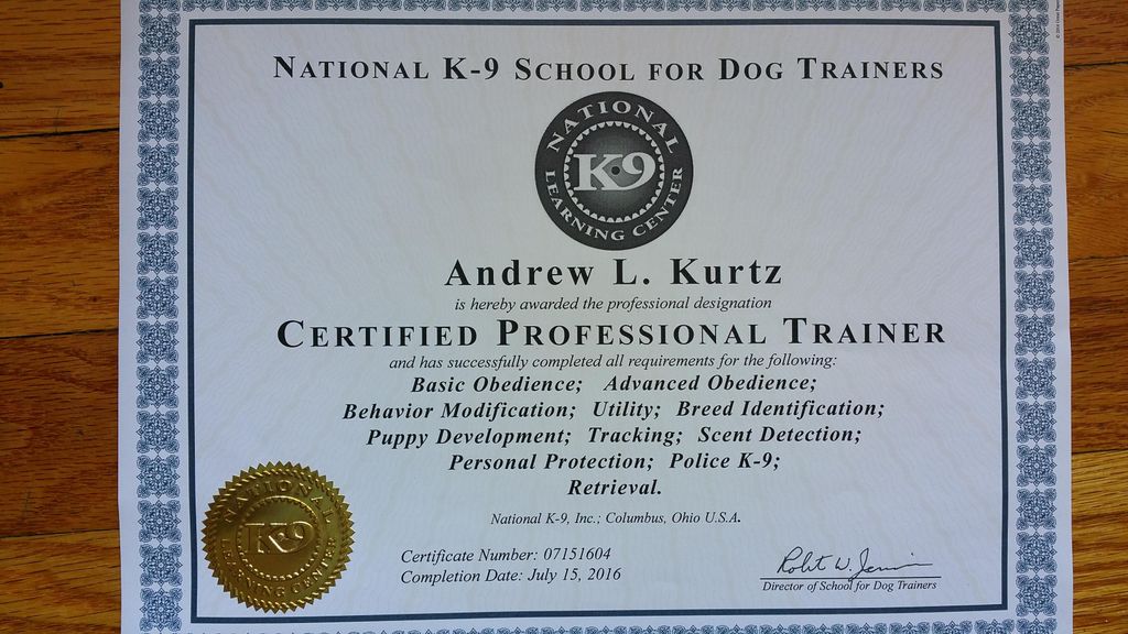 Professional Certificiation