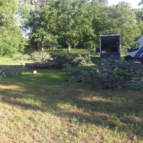 Storm Clean Up, fallen trees and debris