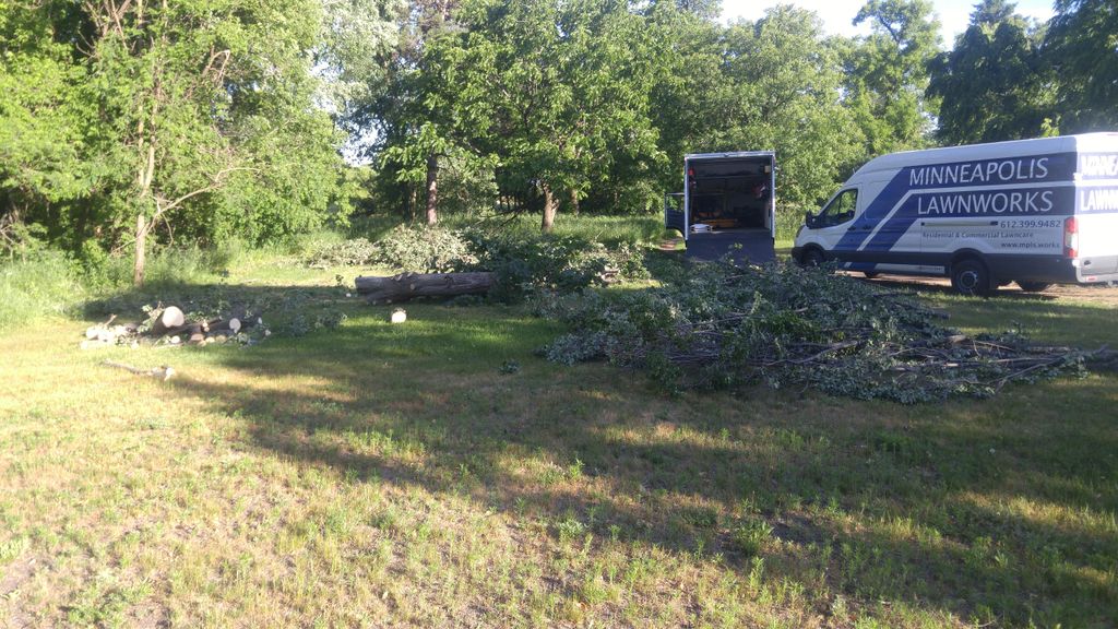 Storm Clean Up, fallen trees and debris