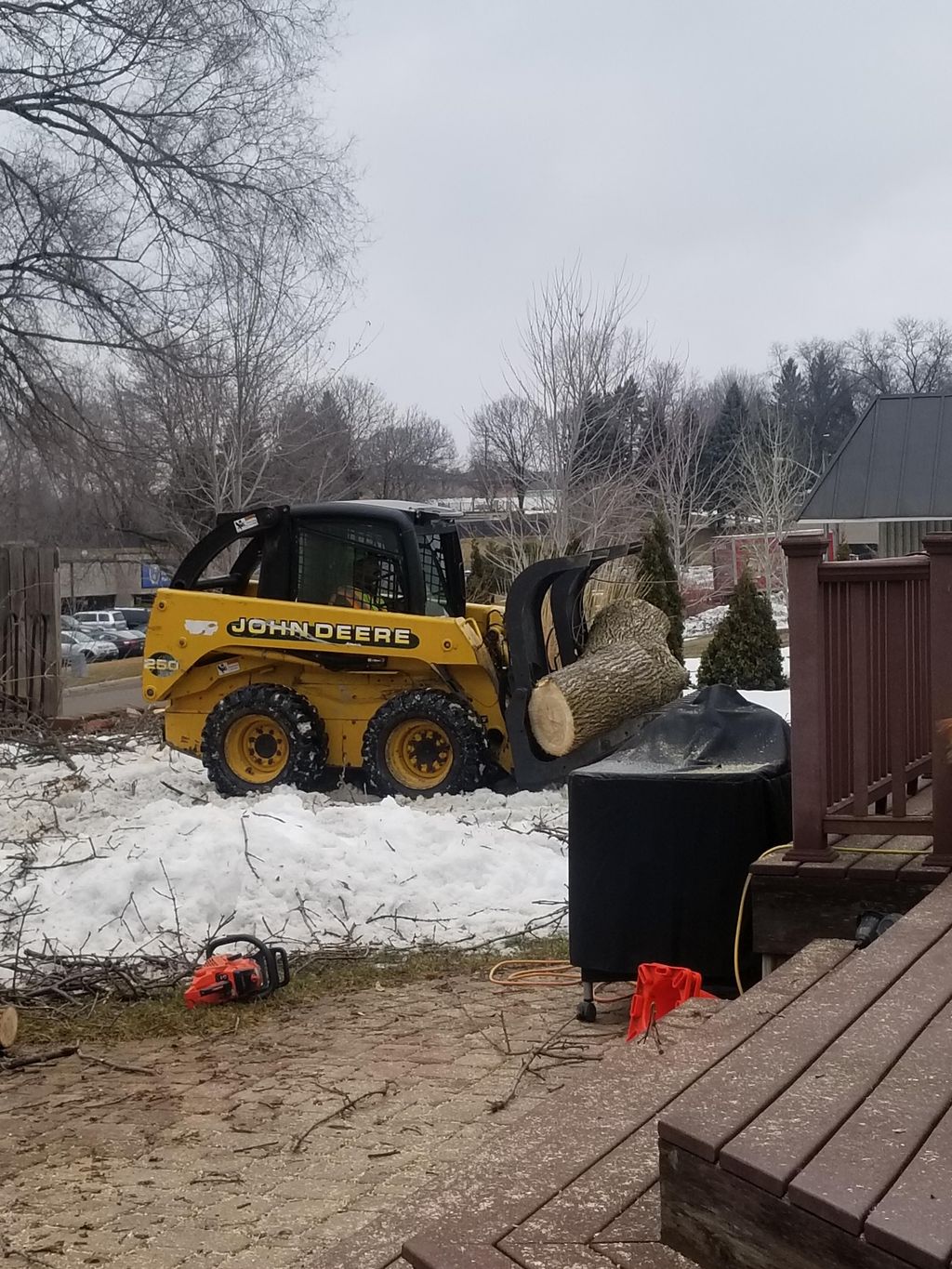 we have the right equipment to take any tree down.