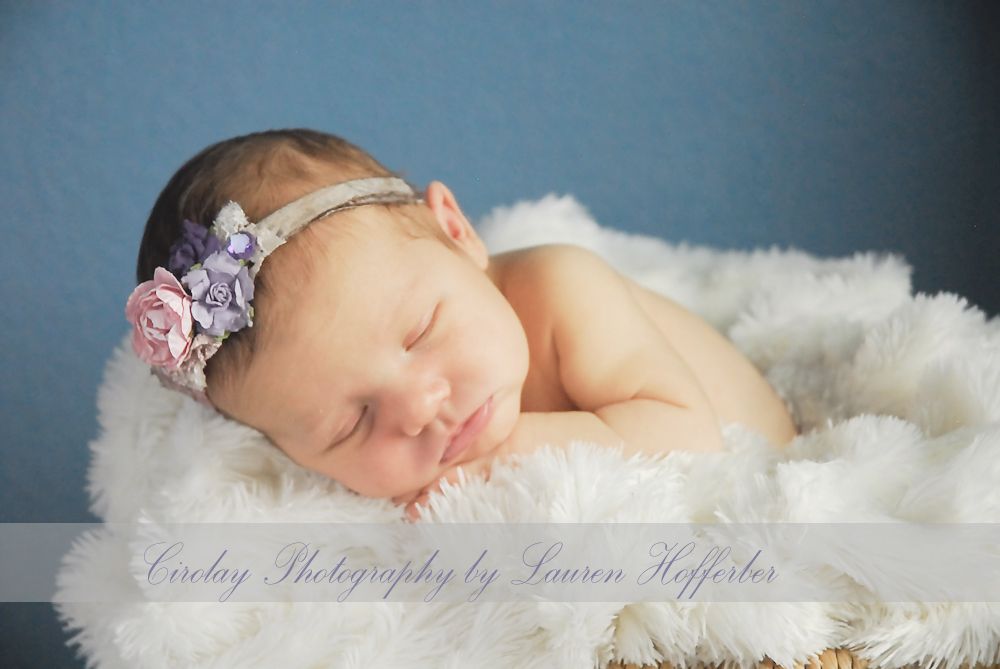 Cirolay Photography by Lauren Hofferber