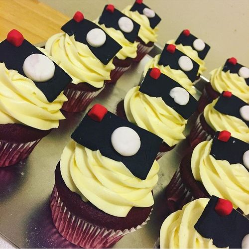 Custom Camera Cupcakes