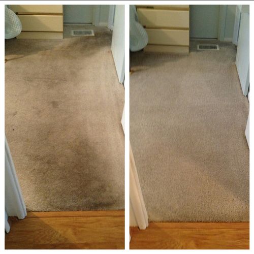 Before and After Carpet Dry Cleaning