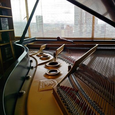 Avatar for Floating Piano Factory
