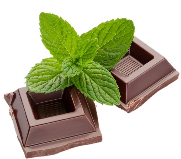 Mint Chocolate Solutions LLC