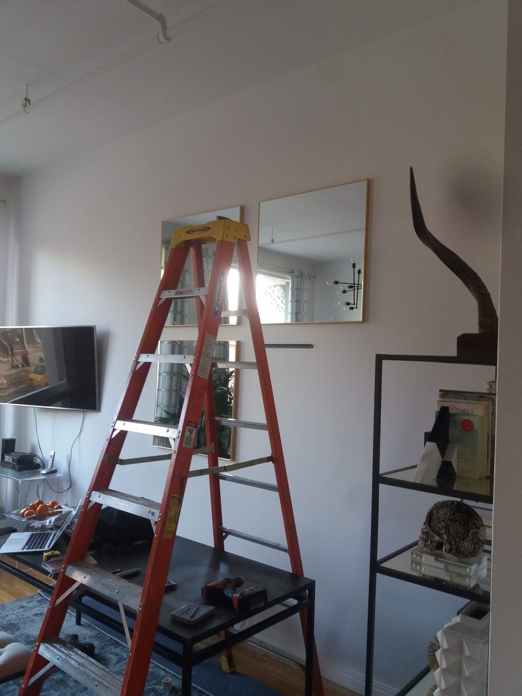 Projects and media