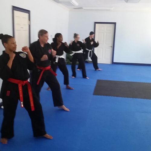 semi-private karate class for adults. never more t