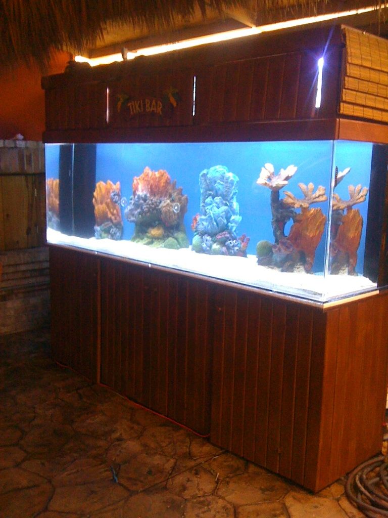 300 gallon aquarium built outdoors at a new tiki b