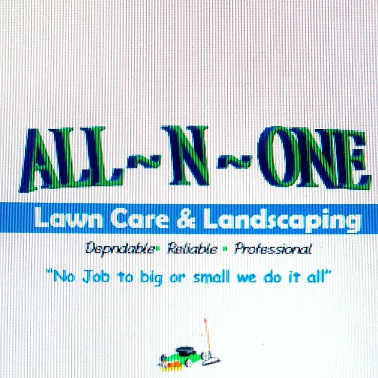 All N One Lawn Care L.L.C