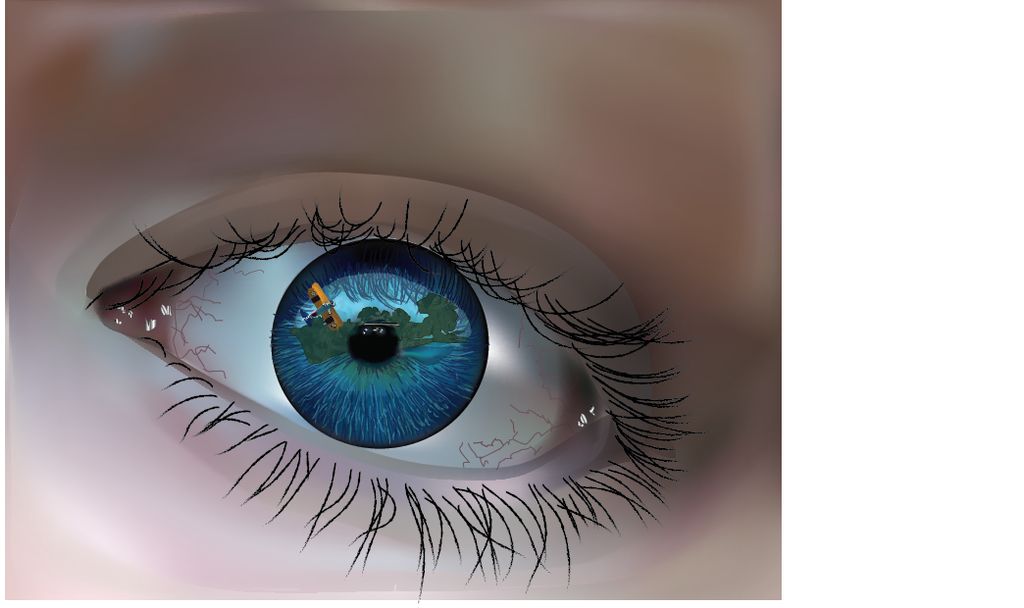 Done in Illustrator Adobe Suite 6.0 using a Mesh G