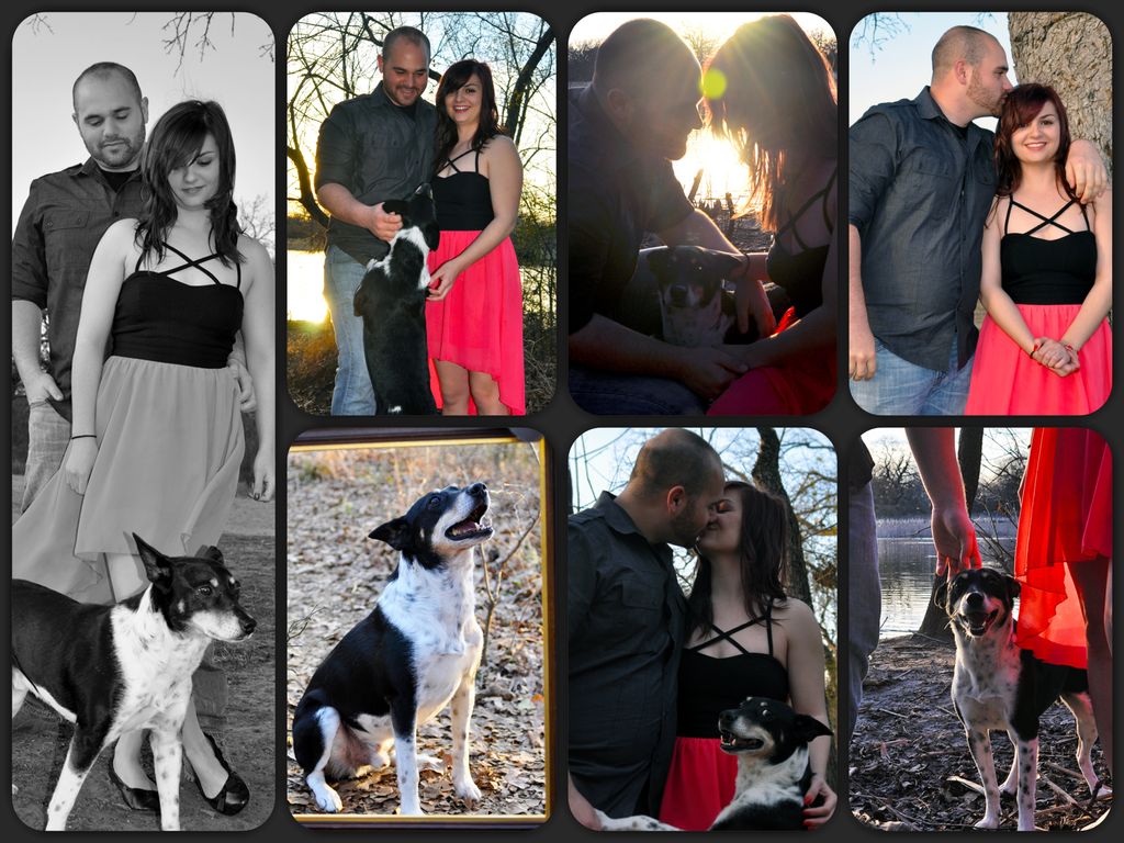 Couple/Pet-Collage