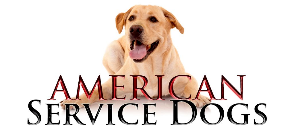 American Service Dogs